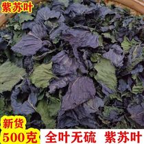Perilla leaves perilla leaves soaked in water dried perilla leaves made into tea foot soaks perilla leaves non-Chinese medicinal materials