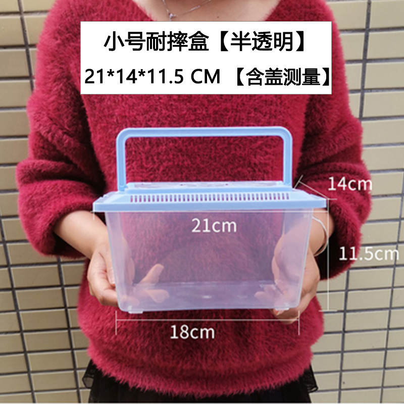 Durable PP Transparent Plastic Turtle Bowl Children's Golden Fish Bowl Ecological Scene Prevention and Wrest-resistant Pet Box