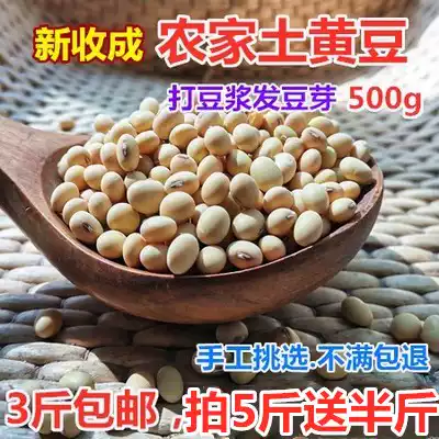 New goods farmers grow their own stupid soybeans Oval small soybeans soy milk hair bean sprouts bean soil soybeans 500g