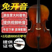 Nhạc cụ gia đình Nhập khẩu Châu Âu Handmade Cello Cấp độ chuyên nghiệp Cấp độ Solo Người lớn Ý - Nhạc cụ phương Tây kèn trombone