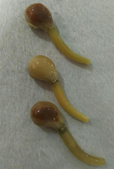 Tibet's special produce yak horns double-owner tobacco pipe cigarette holder cigarette fight big, Lhasa shipping