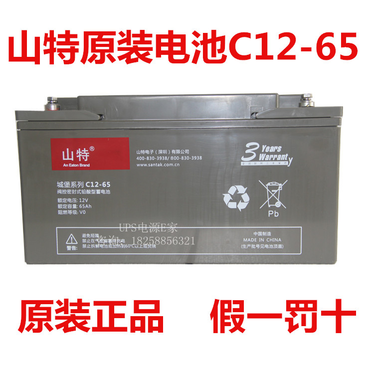 SANTAK Shante UPS Uninterruptible Power Supply Special Lead Acid Battery 12V65AH Castle Series C12-65