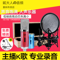 ISK RM-10 capacitive microphone set Network karaoke computer recording equipment MC shouting microphone anchor microphone