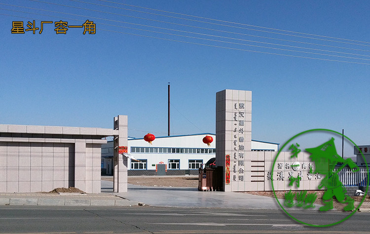 Star Factory Gate Watermark