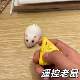 Remote Control Mouse, Creative and Fun, Abstract Prank to Play on Friends, Realistic Mouse That Can Rotate, Remote Control Stress-Relief Toy