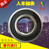  Human bearing 6000 6001 6002 6003 6004 6005 6006 6008 6012 6015RZ