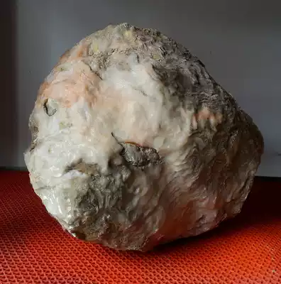 Ningqiang coral Jade fossil hedgehog ornaments natural strange stone landscape modeling stone ornamental stone pictographic stone collection