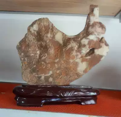 Ningqiang coral stone Peacock Sea Lily hieroglyphic fossil natural strange stone shape ornamental stone paleontological ornaments