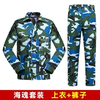 Обычный набор Sea Soul [Top+брюки]