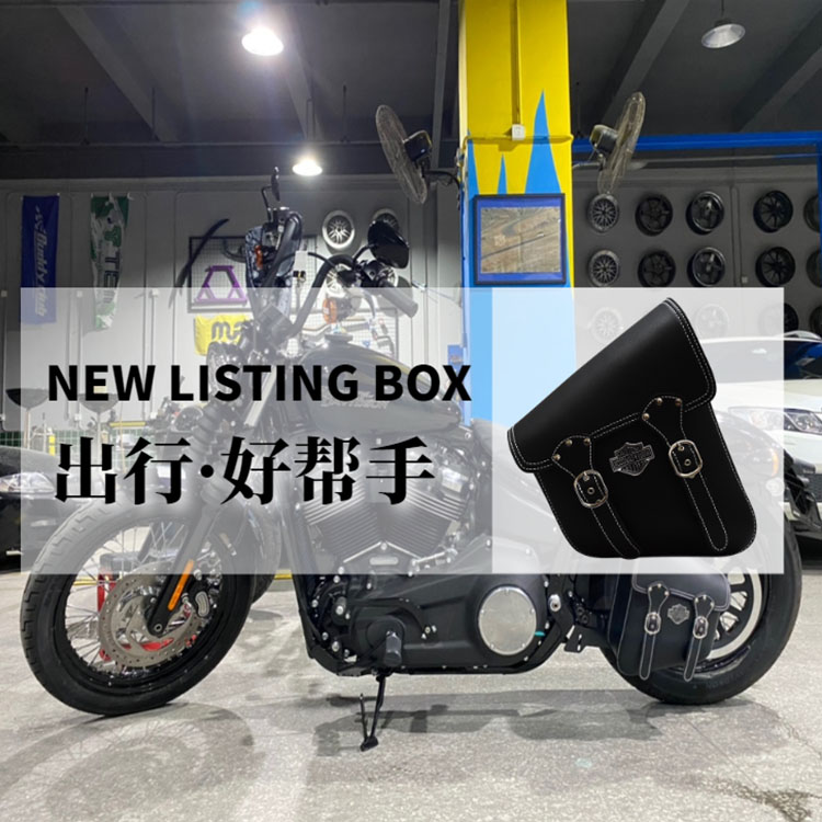 Locomotive bag side bag Harley soft tail Breakthrough Fei Tsai Street Ba Borg 250 Universal Waterproof Motorcycle Brigade