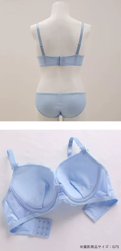 Shi Luohan Duo Bra Set C-D Size SHIROHATO PANCUTE Kích thước đầy đặn Bộ đồ sexy dễ thương - Bộ đồ lót