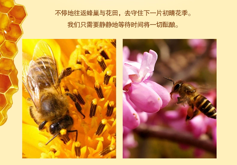 Thơ ca sáp môi mật ong Collagen dưỡng ẩm cao làm sáng đôi môi Không màu giữ ẩm cho bà bầu có sẵn để sửa chữa lâu dài - Son môi