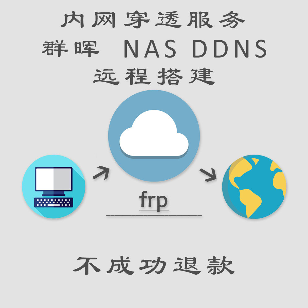 Intranet Penetration Artifact Remote Access Software Port Mapping Black and White Synology Frp NAS Peanut Shell DDNS