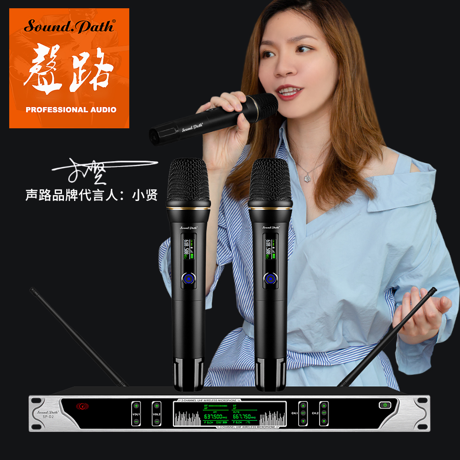 One-to-two wireless microphone U-segment FM performance home stage wedding KTV conference charging microphone all metal