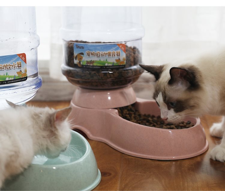 Pet mèo nước quả trung chuyển mèo thức ăn cho chó bát nước uống nước treo mèo vật nuôi cần thiết hàng ngày tự động - Cat / Dog hàng ngày Neccessities dụng cụ ăn uống cho chó	