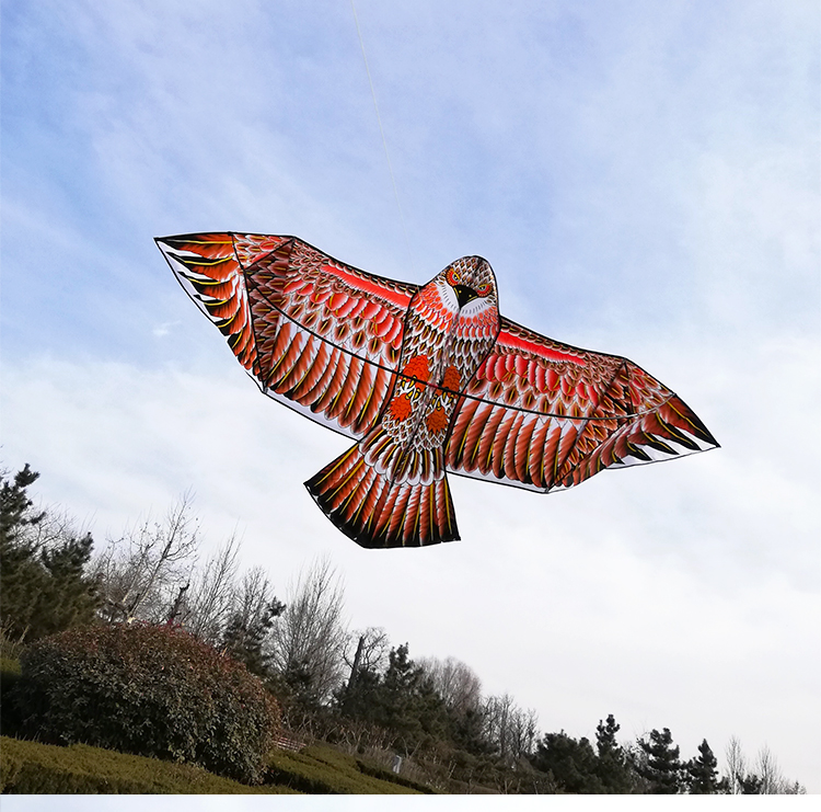 Weifang 3D three-dimensional umbrella cloth plate eagle large high-grade 2021 new eagle kite breeze easy-to-fly small children adult