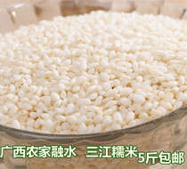 Guangxi Sanjiang Rongshui specialty glutinous rice big waxy (Jiangmi) sticky rice new glutinous rice grains glutinous rice