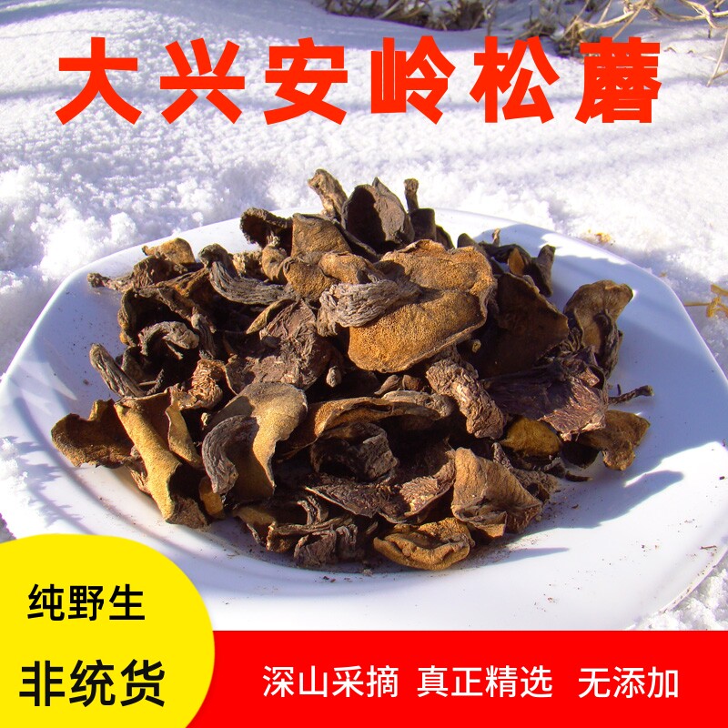 Pine Mushroom Northeast Wild Mushrooms Dry Goods Northeast Terproduce Dry Pine Mushrooms Pine mushrooms Daxing mushrooms Daxing Anling 500g