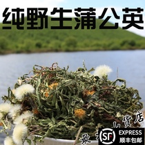 Mother-in-law Ding Sun-dried Dandelion dried tea with flowers with root tea Wild fresh sun-dried root and leaf combination tea 500g