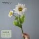 2 杈 Подсолнечник-серо-белый