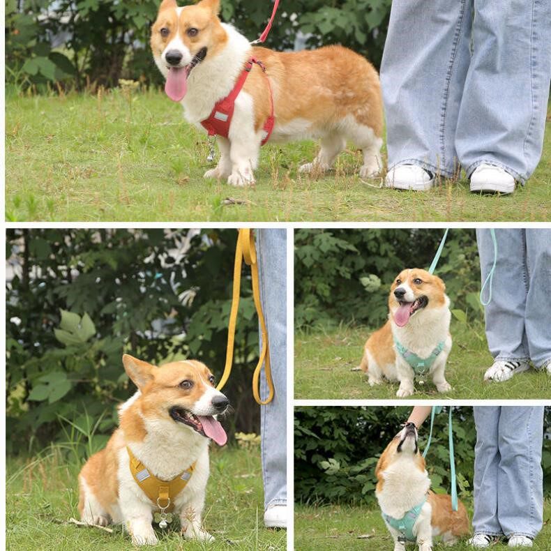 Dog traction rope dog rope pet small dog Teddy vest type dog chain adjustable size universal chest hold baby bag
