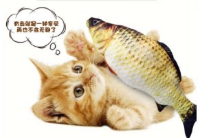 Kitty grabbing self-relieving stuffy toy electric fish grindstone resistant to biting abrasion resistant teasing cat with cat peppermint pet pooch supplies-Taobao