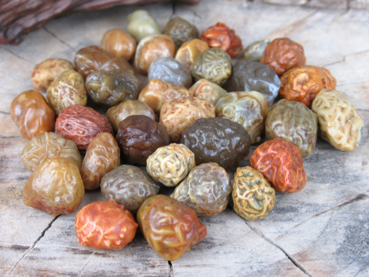 Meridian bead currency currency system Gobi agate rough 8 to 15 mm about 190 pieces 250g