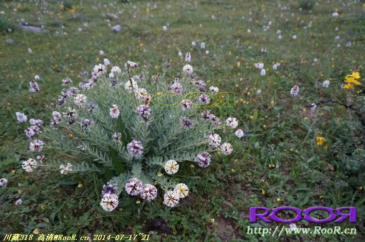 Gants pour vélo - Ref 2247996 Image 246