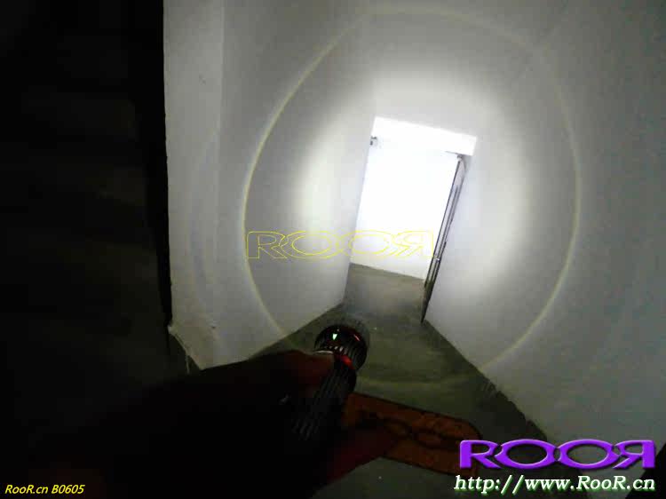 CIMG8778.jpg