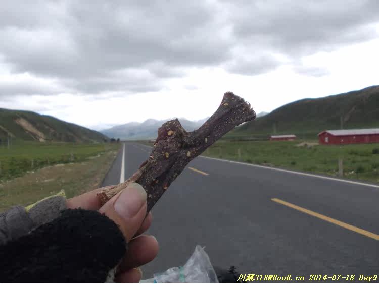 Gants pour vélo - Ref 2247996 Image 221