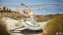 Adult white professional ballet dance costume competition dress TUTU dress ballet dance uniform practice dress custom