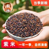 Yimeng Mountain Niu authentic blood glutinous rice new goods farmers rich in zinc selenium purple rice Northeast black glutinous rice 500g grains