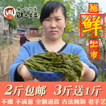 Yimeng Mountain girl Toon bud pickles Shandong specialty 2021 freshly marinated toon head under meals 250g pickles