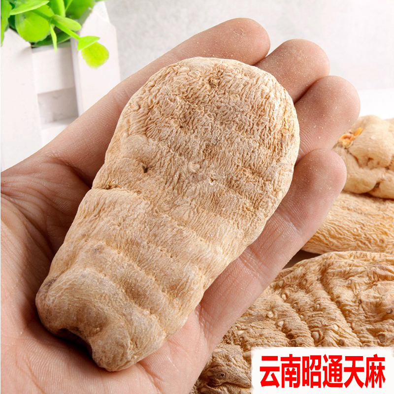 Tianma Wild Special Grade Yunnan Zhaotong 500g Tianma Powder Wenshan Specialty Fresh Xiaocaoba Edible Tablets