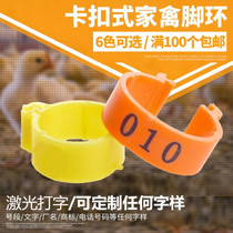  Snap-on numbered chicken foot ring Laser lettering Poultry foot ring ring 100 custom cockfighting foot ring for chickens ducks and geese