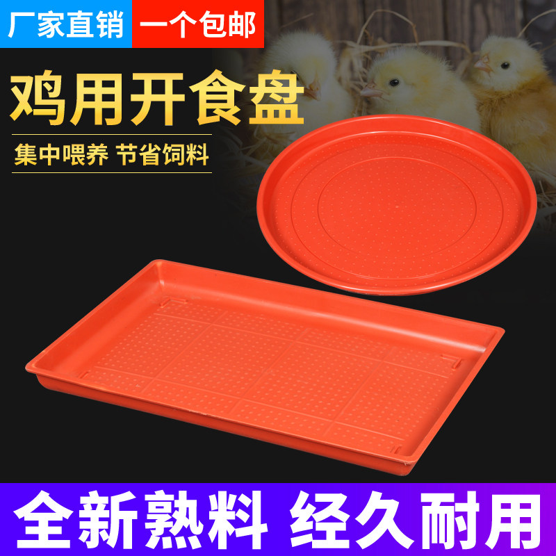 Chicken with open food trays chick breeding feed tray Chicken Supplies Trays Chickens Duck Goose chicks feeding equipment with small chickens 