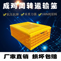  Plastic chicken cage goose cage duck cage pigeon cage transport box running chicken cage turnover box chicken basket frame transport cage chicken cage household