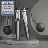 【Стандартная модель Black】 Silent Model/Belless Ball