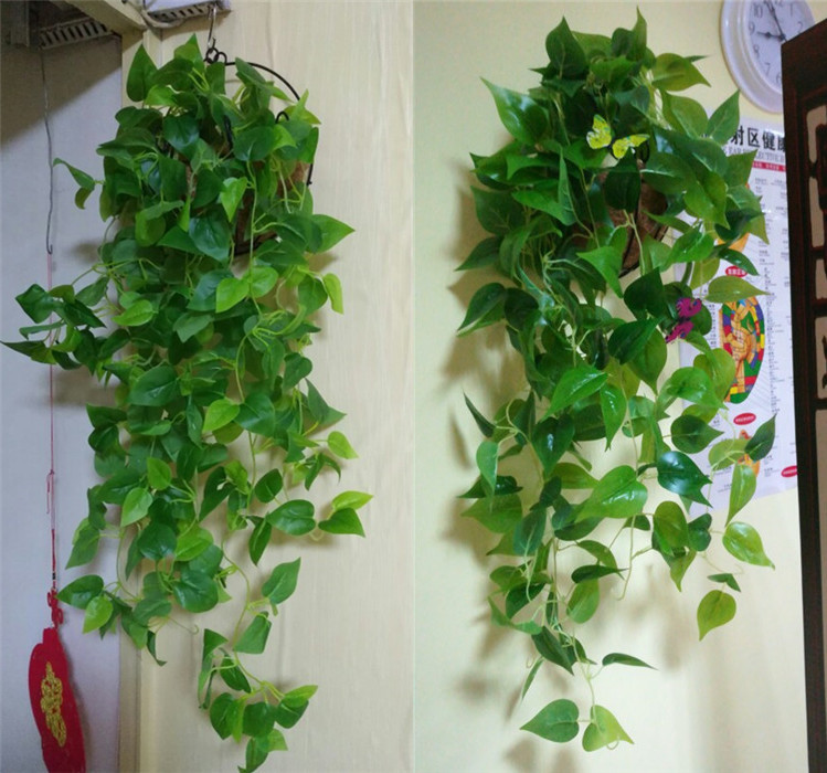 Cây mô phỏng giỏ hoa giả mây nhựa lá xanh lá cây củ cải xanh treo hoa lan trong nhà trang trí tường nho - Hoa nhân tạo / Cây / Trái cây Ý tưởng từ khóa