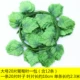 Lá giả xanh mô phỏng gói lá lớn sưởi ấm ống nhựa trang trí kéo hoa màu xanh lá cây hoa nho vườn trong nhà - Hoa nhân tạo / Cây / Trái cây hoa giả