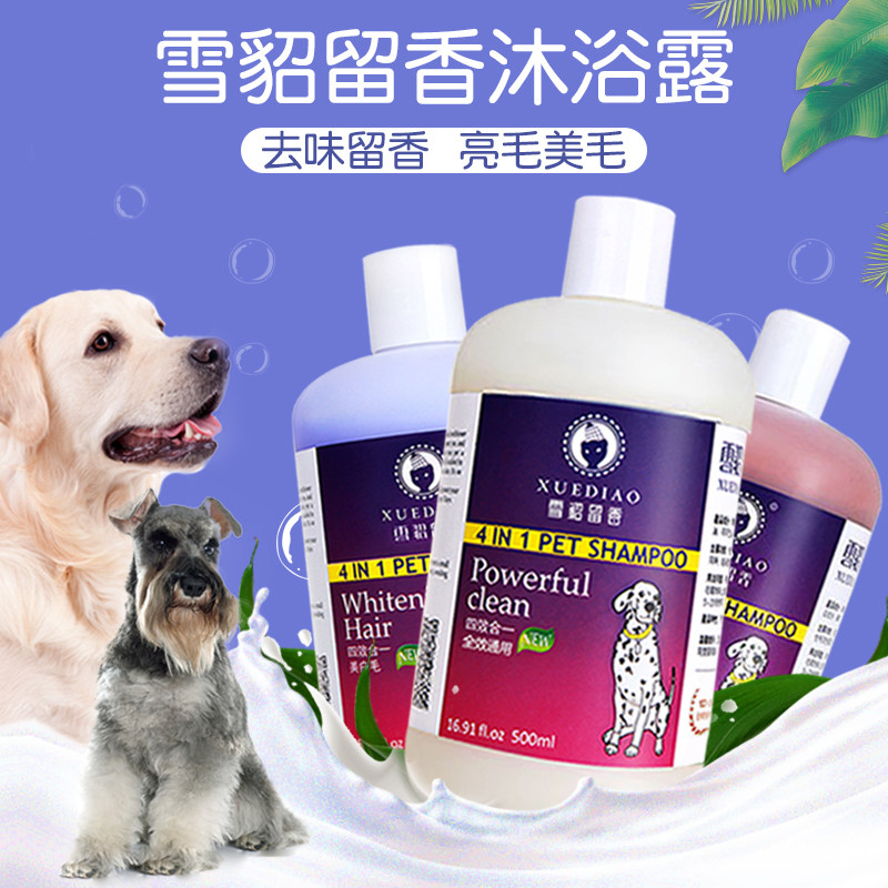 Ginger Dew Pet Snow Minke dog body lotion Bath Dew Snownery Life Bath supplies Snow sculpted white Mao Xiangbo