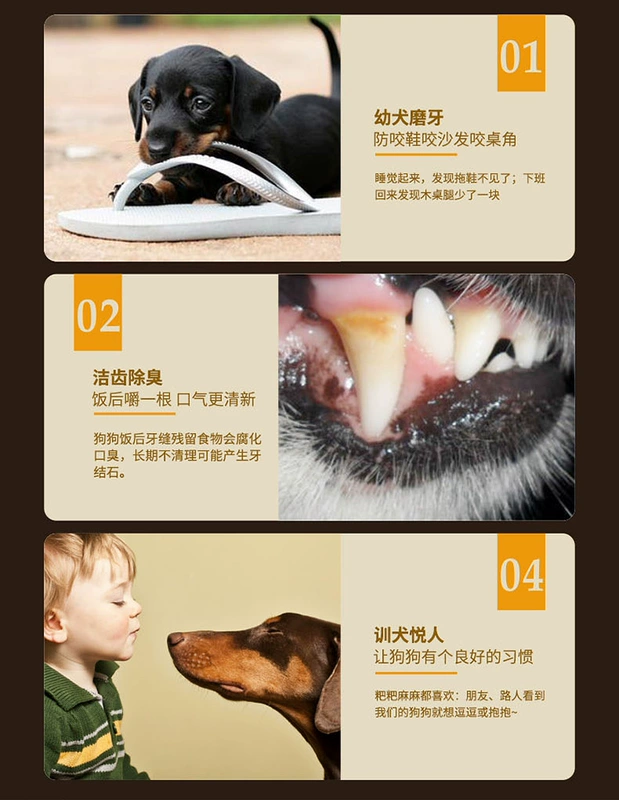 Thú cưng gừng, hãy chải 1 con chó ăn nhẹ 15G, làm sạch răng, gậy, nhai xương, làm sạch sỏi bằng miệng thức ăn hạt cho chó poodle