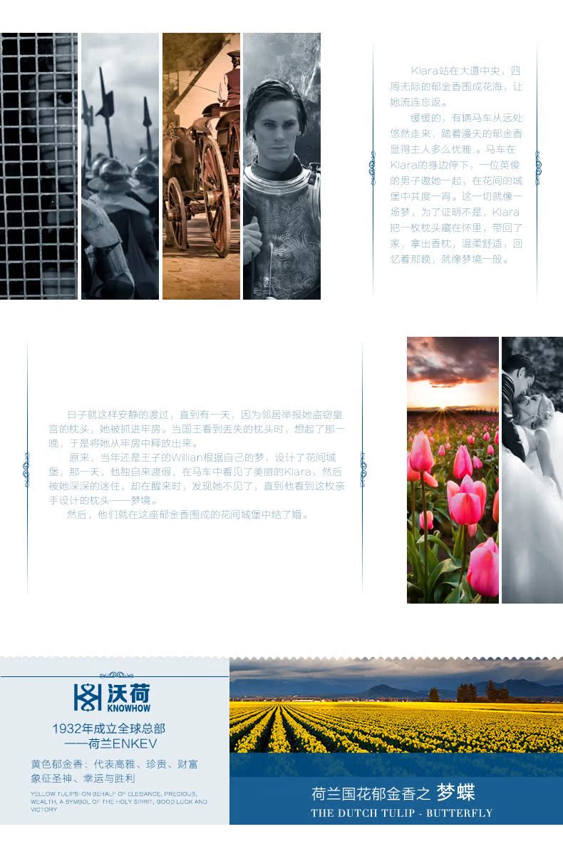 蝶形枕_r6_c1.jpg