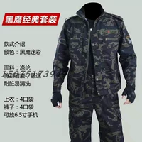 Модель обновления Black Eagle [износ -устойчивый+устойчивый