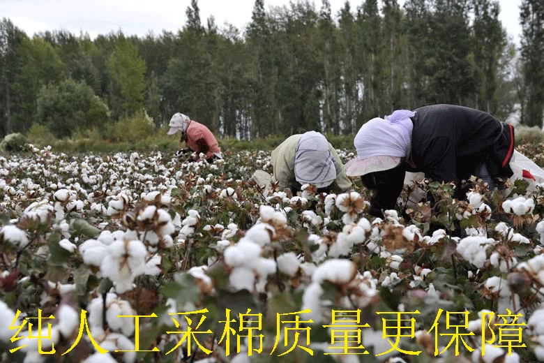 Nữ người lớn handmade bông hoa quần mẹ cotton bông đệm kích thước lớn mùa đông nhà mỏng cotton giải trí