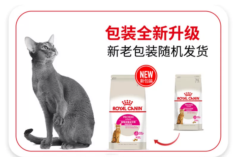 Thức ăn cho mèo Royal Intestinal Thoải mái cho mèo Thức ăn dành cho người lớn EP42 / 10kg Thức ăn cho mèo dành cho người lớn - Cat Staples