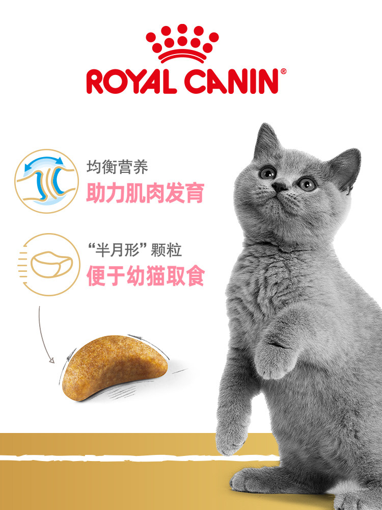 [USD 251.72] Royal Young Short BS34 Adult Cat Food Young Short BSK38 Kitten Food 10kg UK Short