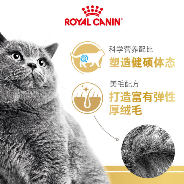 Royal Cat Food British Shorthair Adult Cat Food BS34 Blue Cat Kitten Food BSK38 Trial Special Silver Gradient Layer Cat ອາຫານຫຼັກ