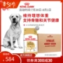 Thức ăn cho chó hoàng gia Labrador thức ăn cho chó trưởng thành LR30 3KG * 4 giống chó lớn Sản phẩm mới nóng 28 tỉnh - Chó Staples hạt anf