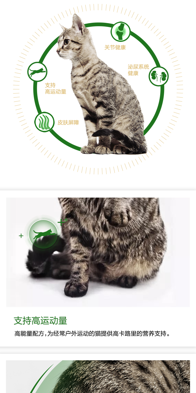 Thức ăn cho mèo hoàng gia ngoài trời thành thức ăn cho mèo O30 / 0,4kg * 4 thức ăn chủ yếu cho mèo 28 tỉnh - Cat Staples đồ ăn cho mèo con